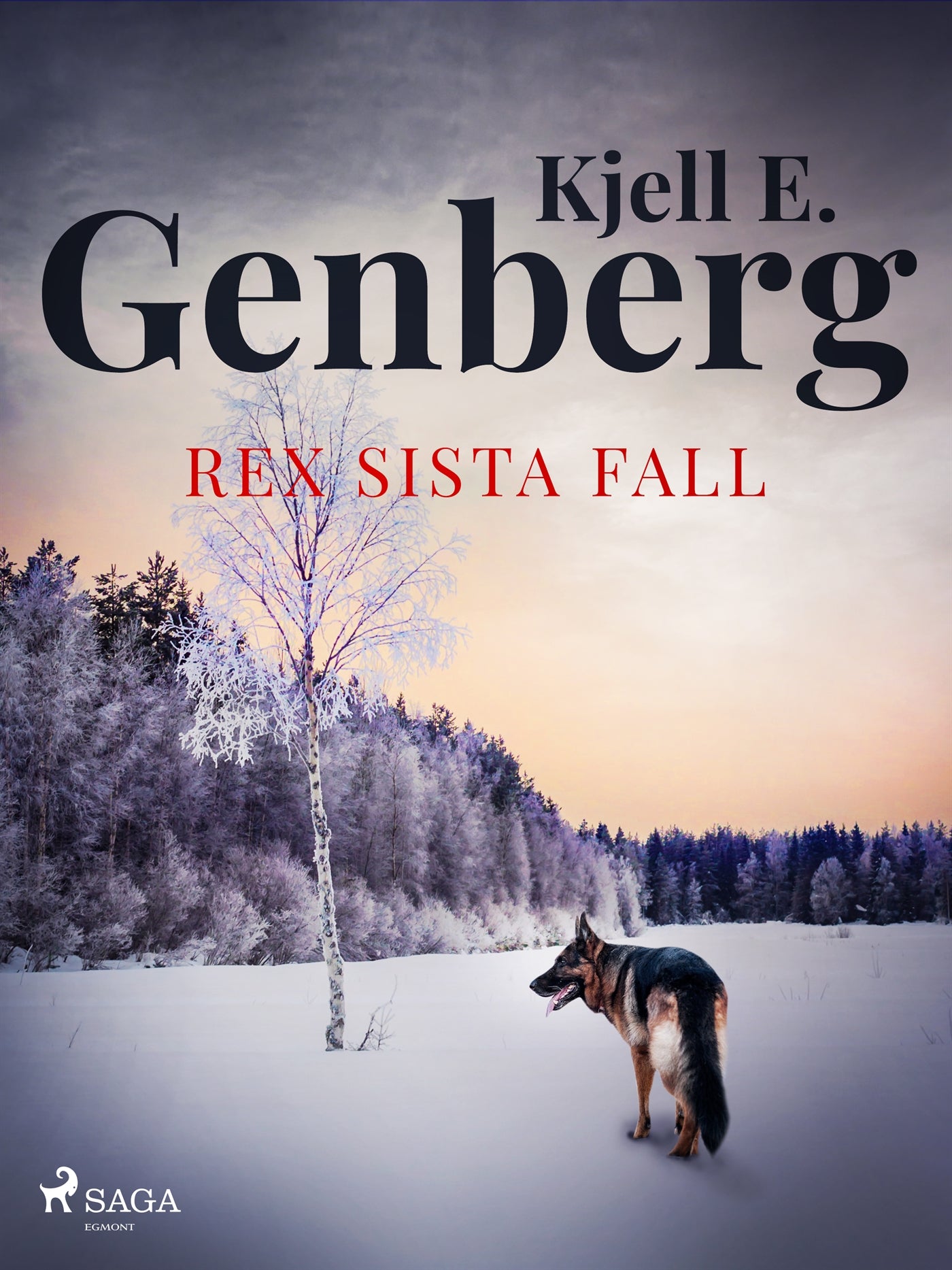 Rex sista fall – E-bok