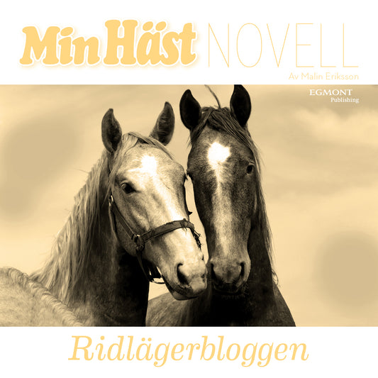 Ridlägerbloggen – Ljudbok