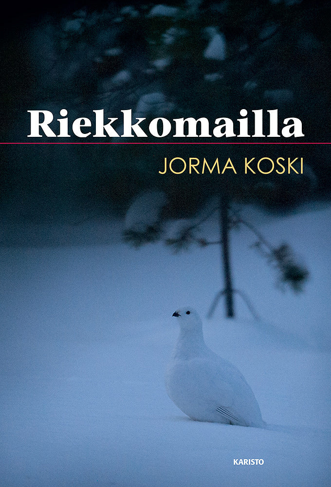 Riekkomailla – E-bok