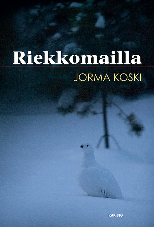 Riekkomailla – E-bok