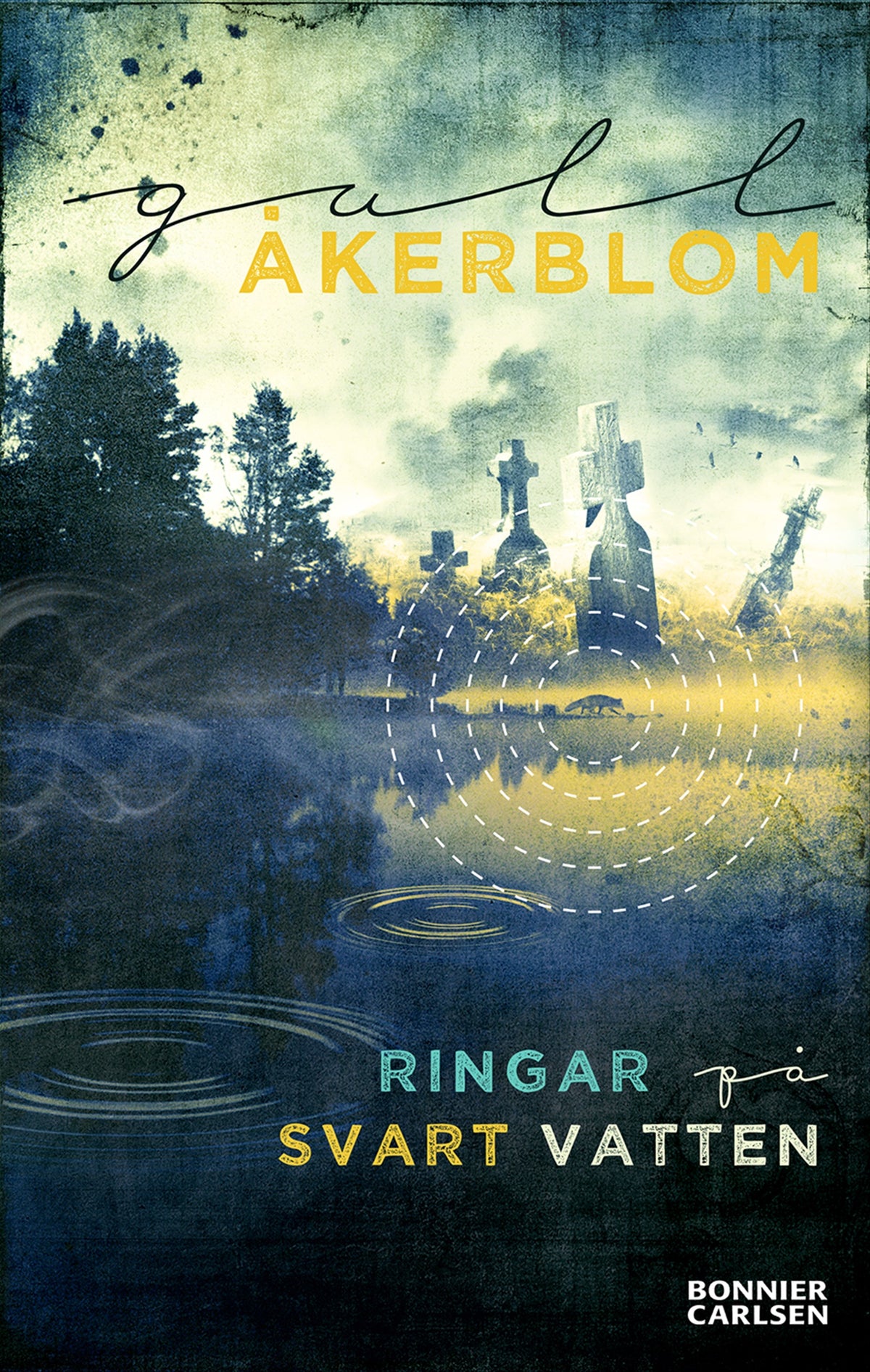 Ringar på svart vatten – E-bok