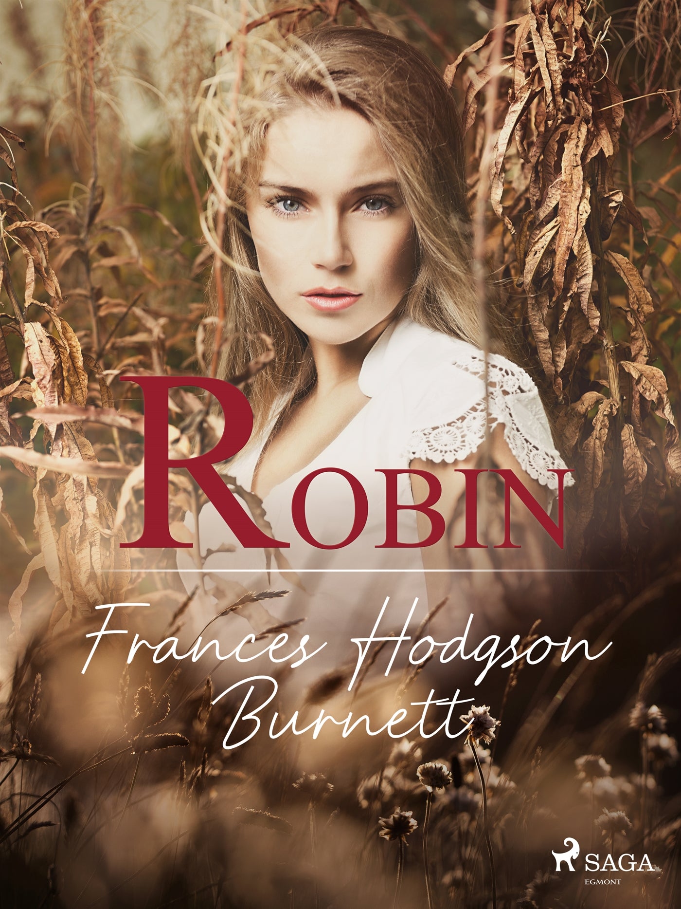 Robin – E-bok