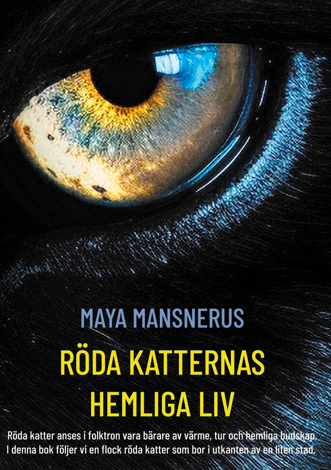 Röda Katternas Hemliga Liv: Röda katter anses i folktron vara bärare av värme, tur och hemliga budskap. I denna bok följer vi en flock röda katter som bor i utkanten av en liten stad. – E-bok