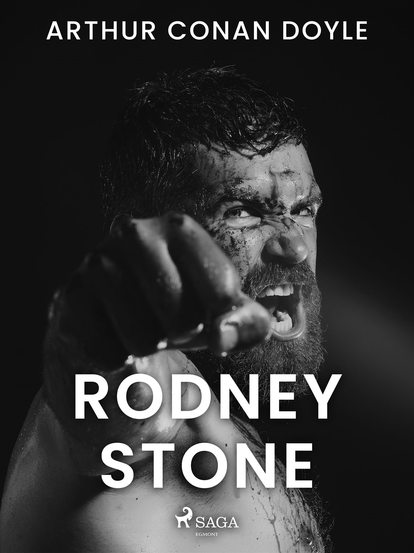 Rodney Stone – E-bok