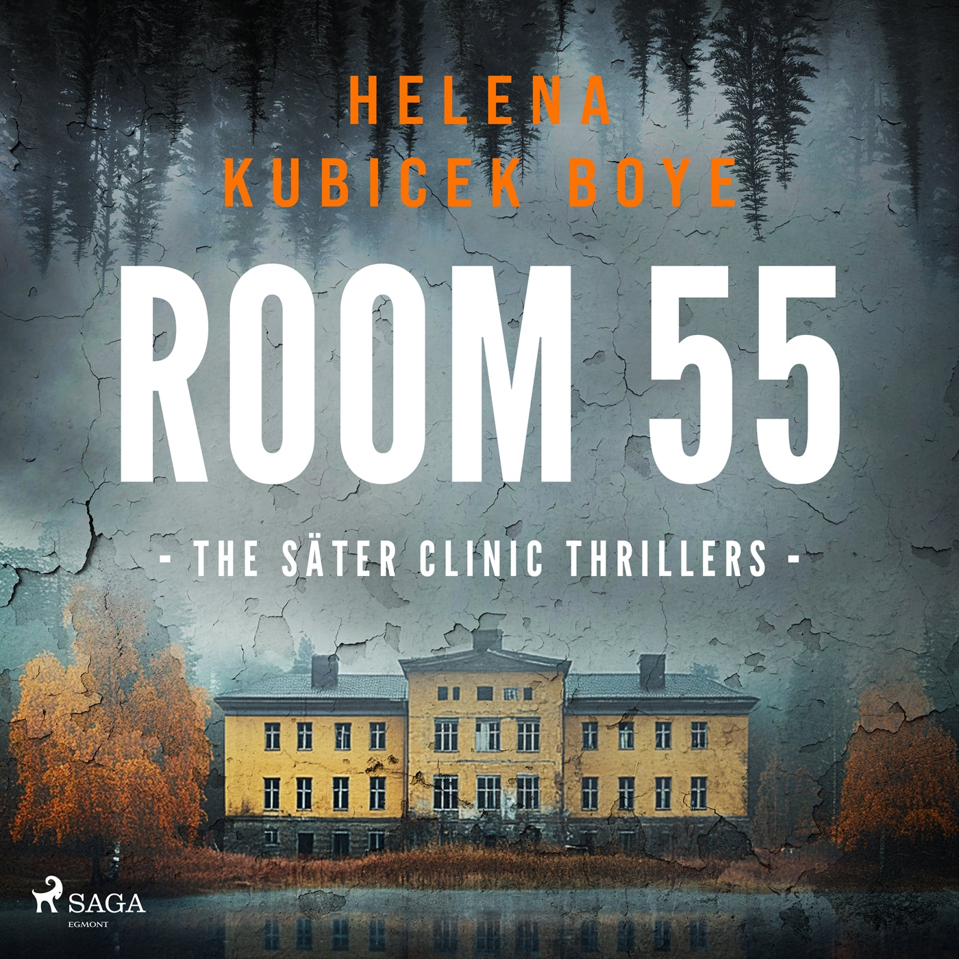Room 55: A clever Scandi-Noir thriller set in Sweden's notorious psychiatric clinic – Ljudbok