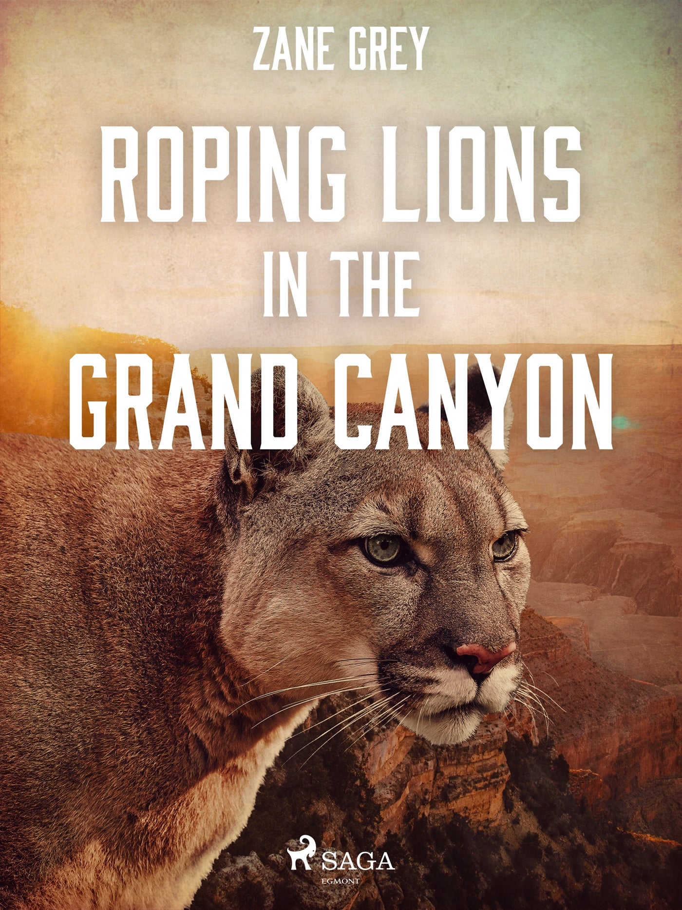 Roping Lions in the Grand Canyon – E-bok
