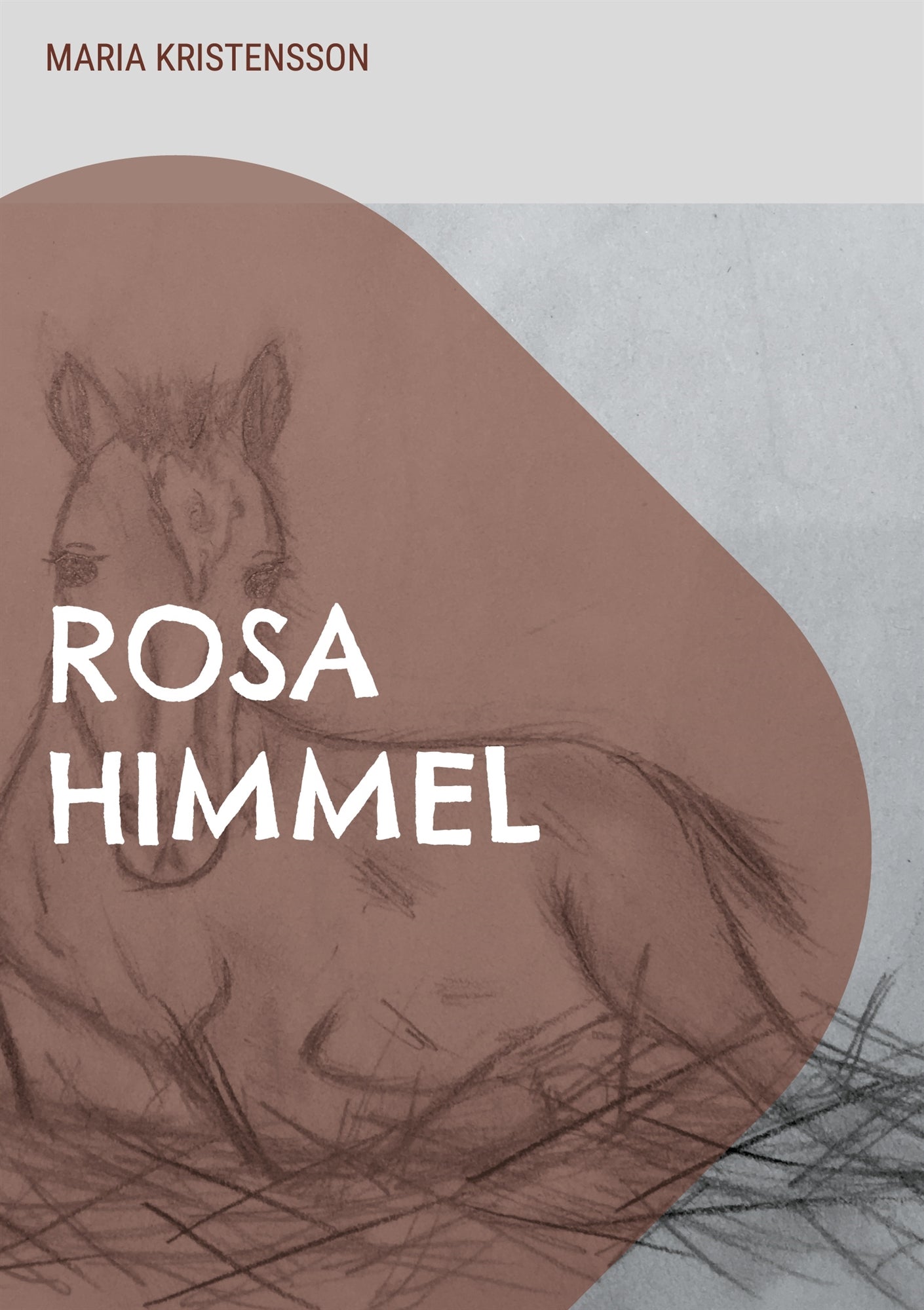 Rosa Himmel: En berättelse om en pojkes hjälteinsats – E-bok