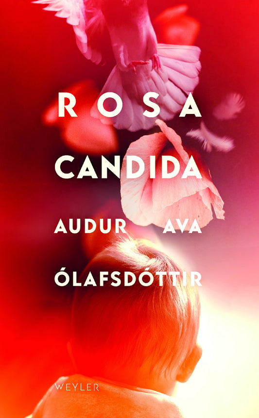 Rosa candida – E-bok