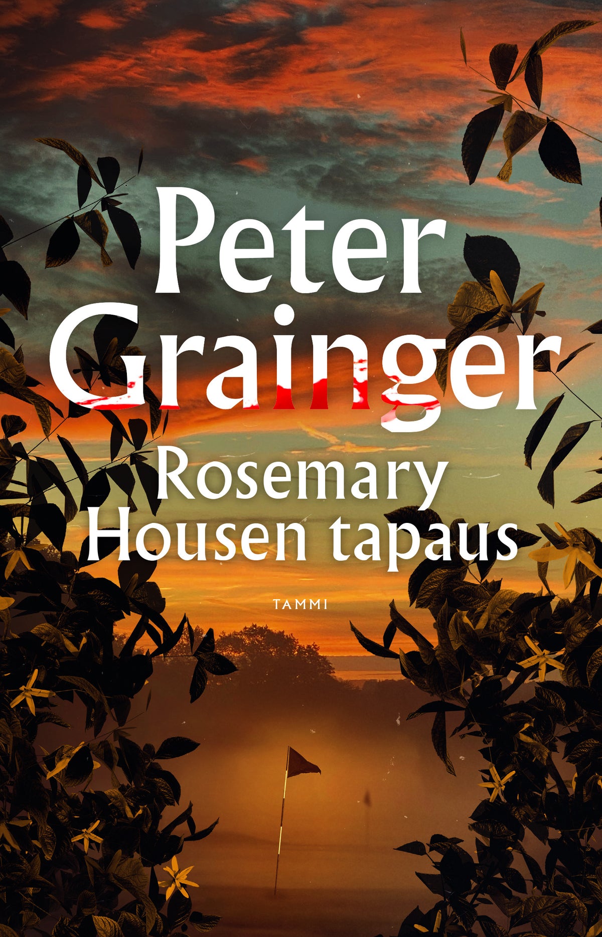 Rosemary Housen tapaus – E-bok
