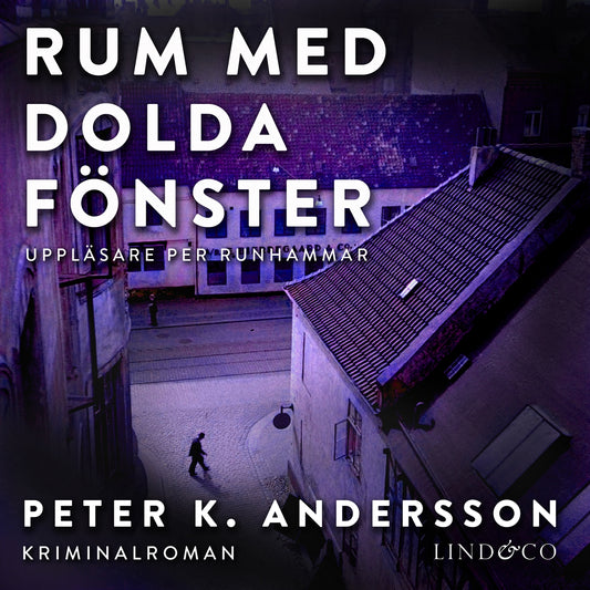 Rum med dolda fönster – Ljudbok