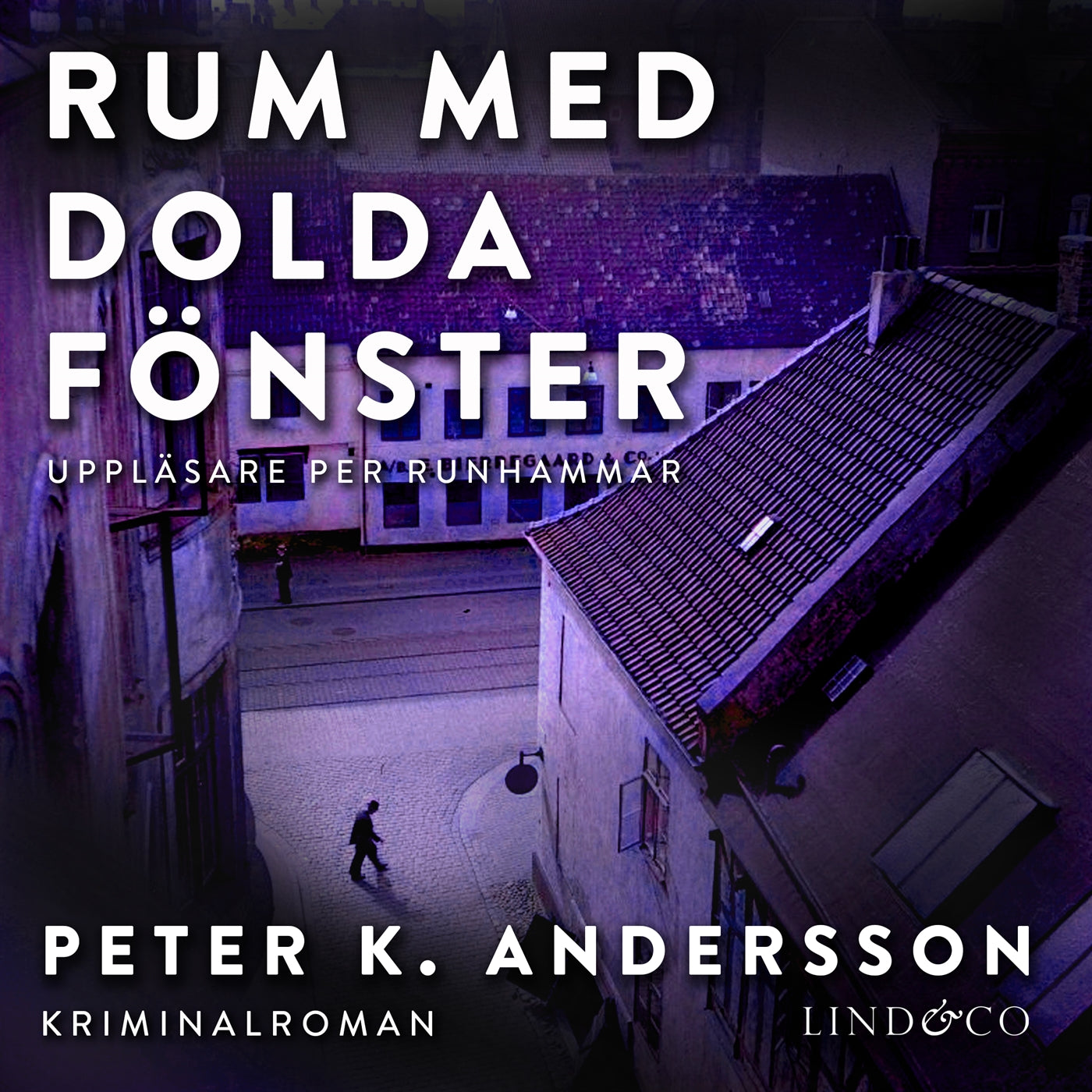 Rum med dolda fönster – Ljudbok