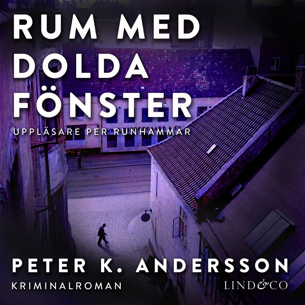 Rum med dolda fönster – Ljudbok