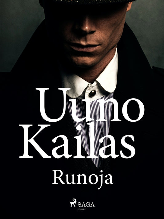 Runoja – E-bok