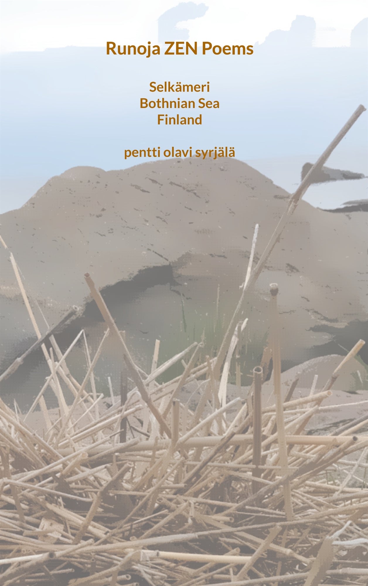 Runoja ZEN Poems – E-bok