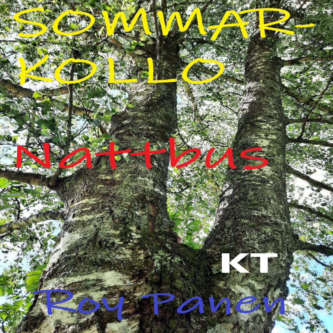 SOMMARKOLLO Nattbus (homoversion) (kort text) – Ljudbok