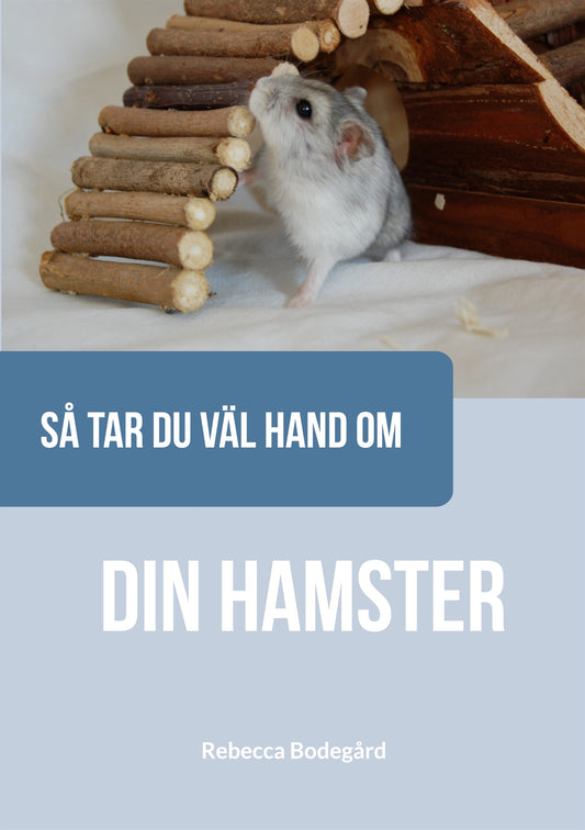 Så tar du väl hand om din hamster – E-bok