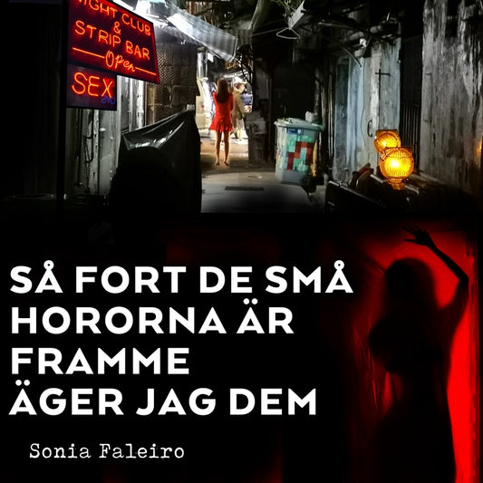 Såäger jag dem : om prostitution, kärlek och drömmar bland dansbarerna i Bombay fort de små hororna är framme  – Ljudbok
