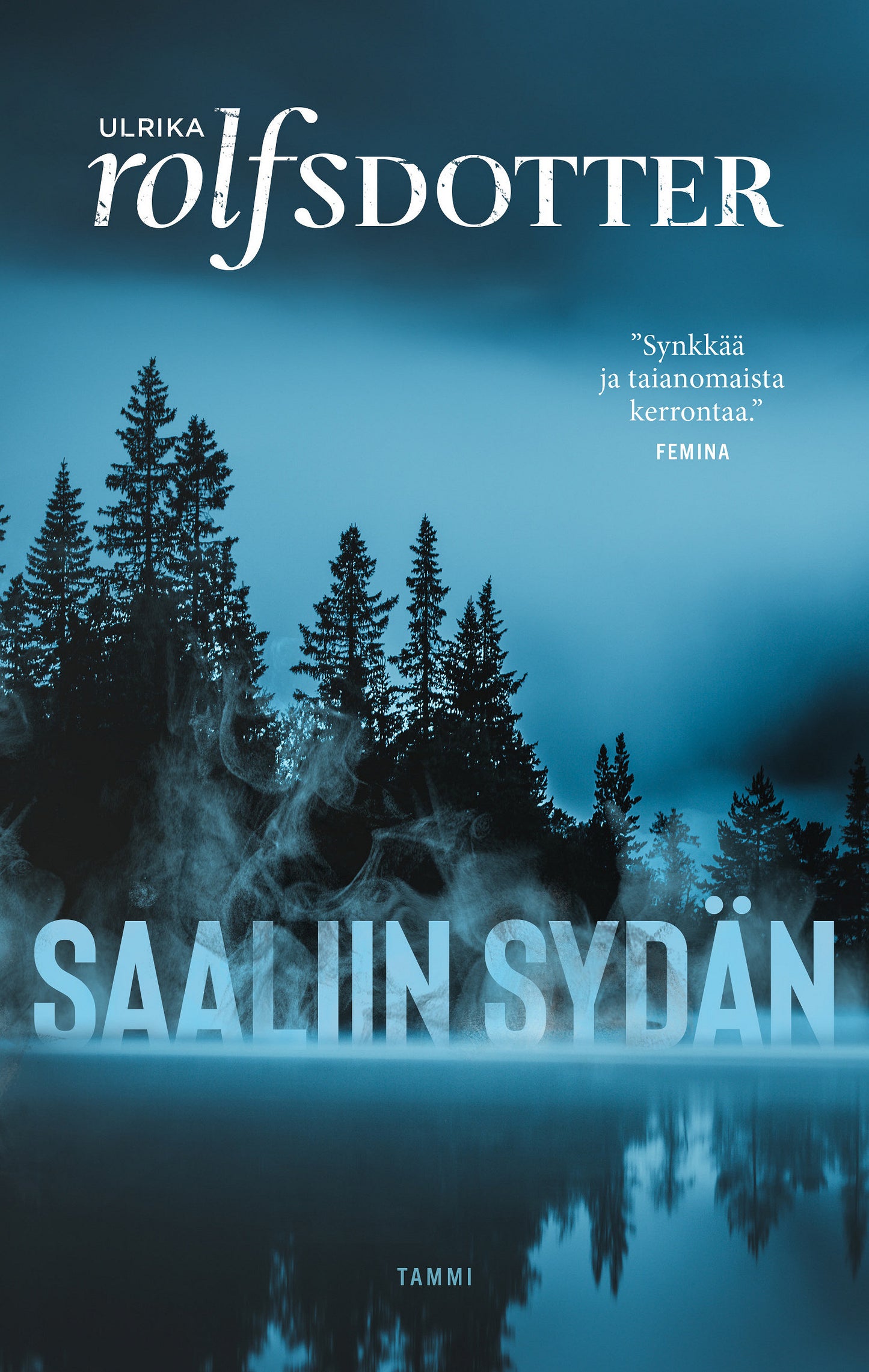 Saaliin sydän – E-bok