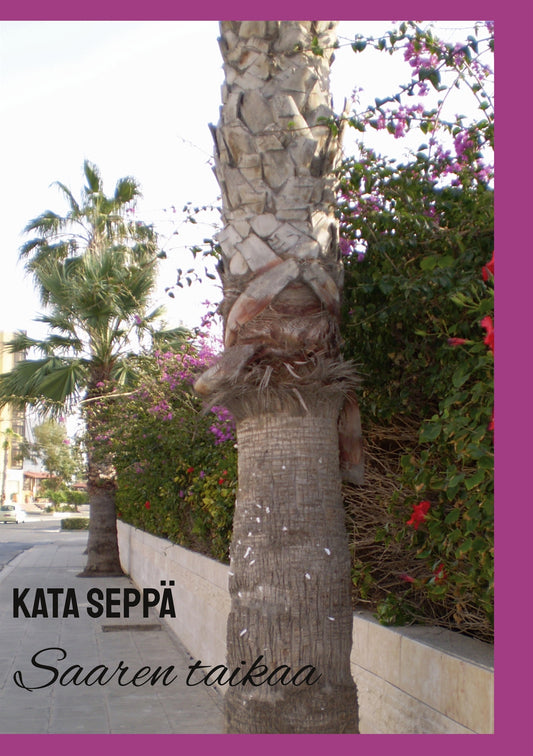 Saaren taikaa – E-bok