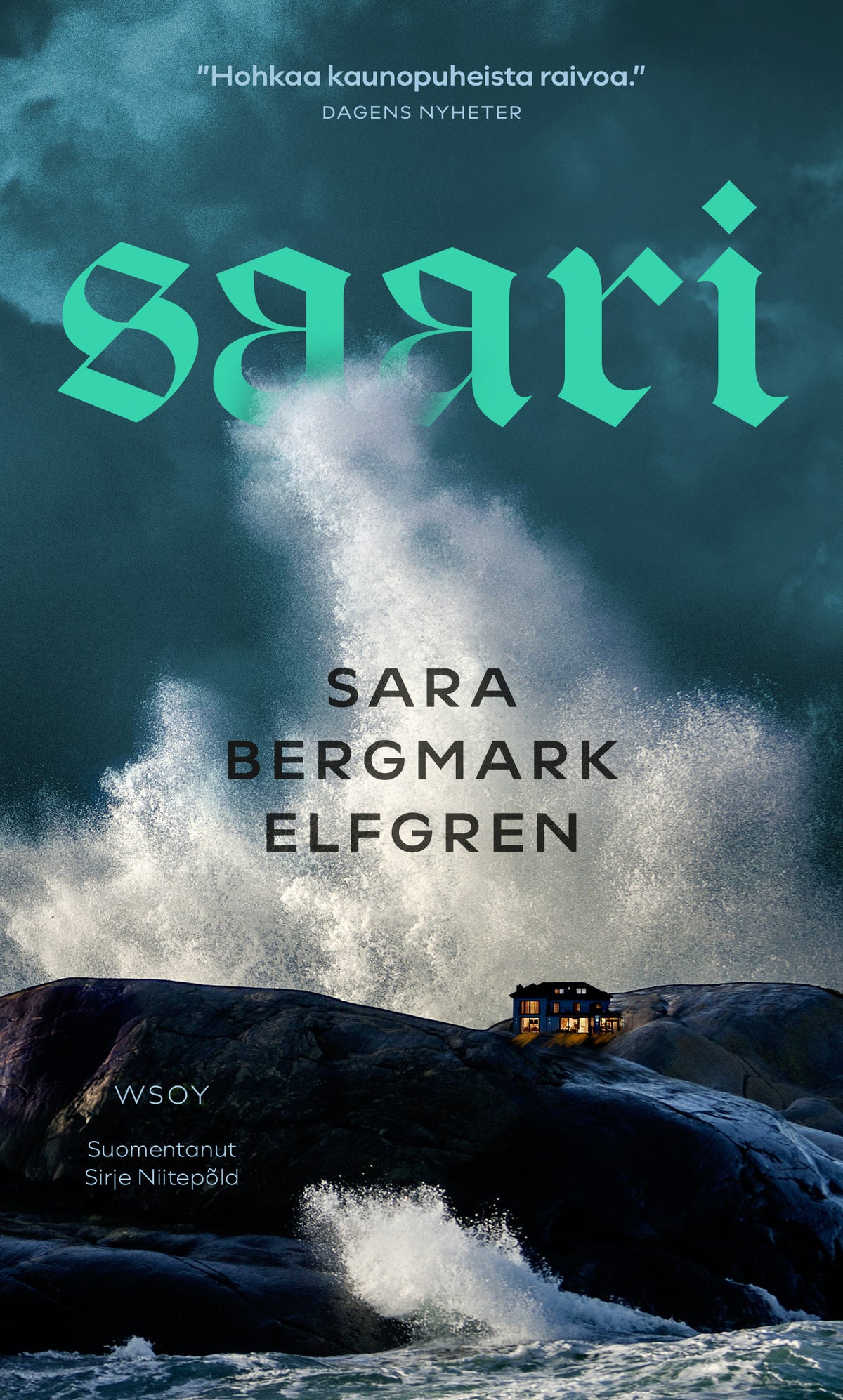 Saari – E-bok