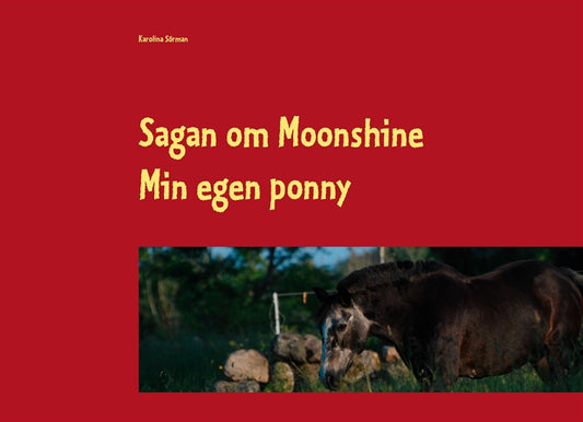 Sagan om Moonshine: Min egen ponny – E-bok