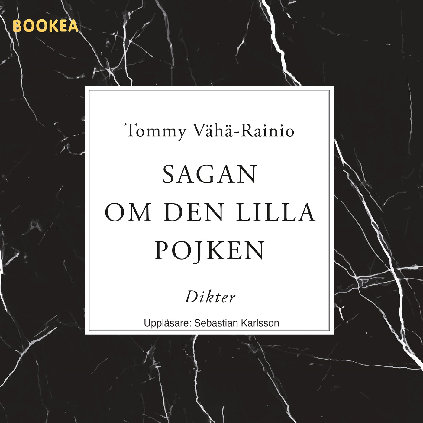 Sagan om den lilla pojken – Ljudbok