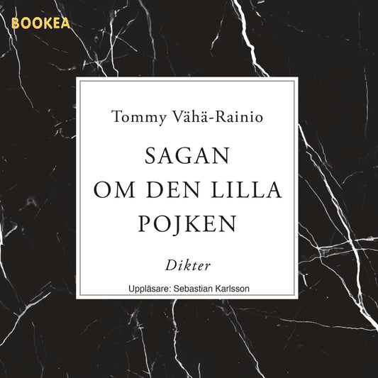 Sagan om den lilla pojken – Ljudbok