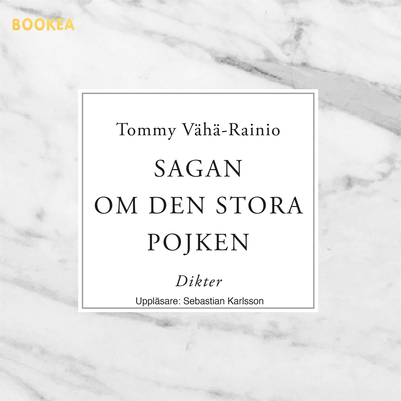 Sagan om den stora pojken – Ljudbok
