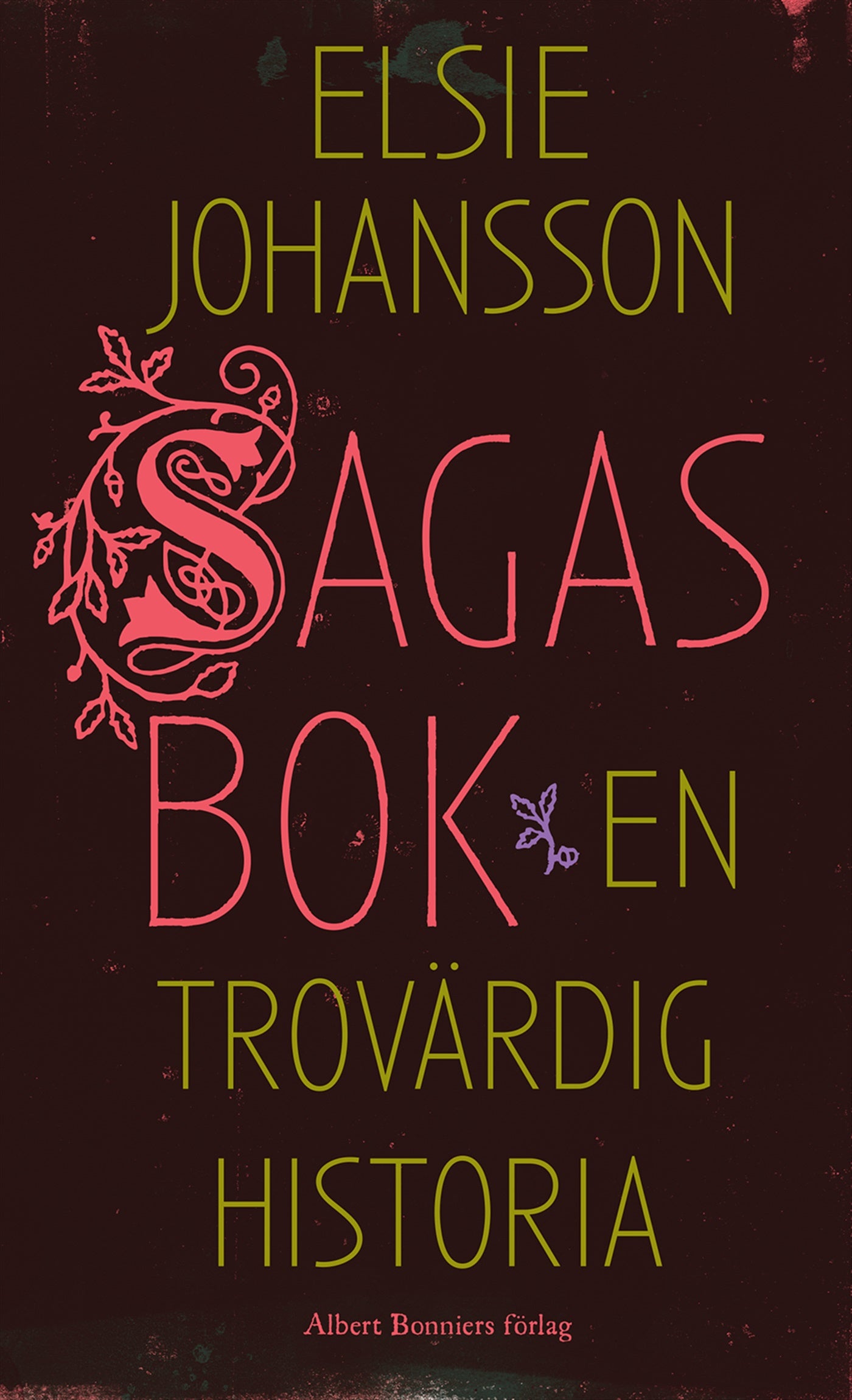 Sagas bok : en trovärdig historia – E-bok