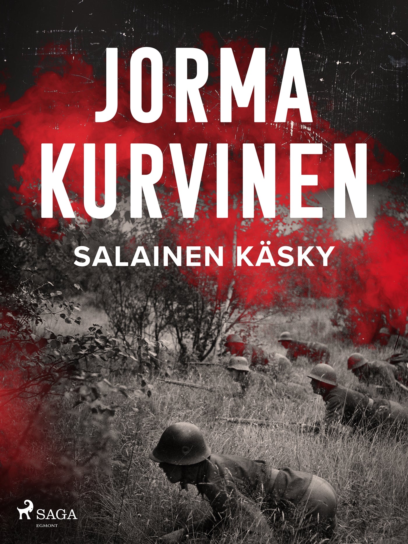 Salainen käsky – E-bok