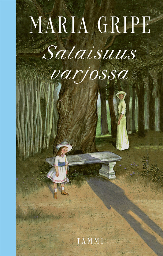 Salaisuus varjossa – E-bok