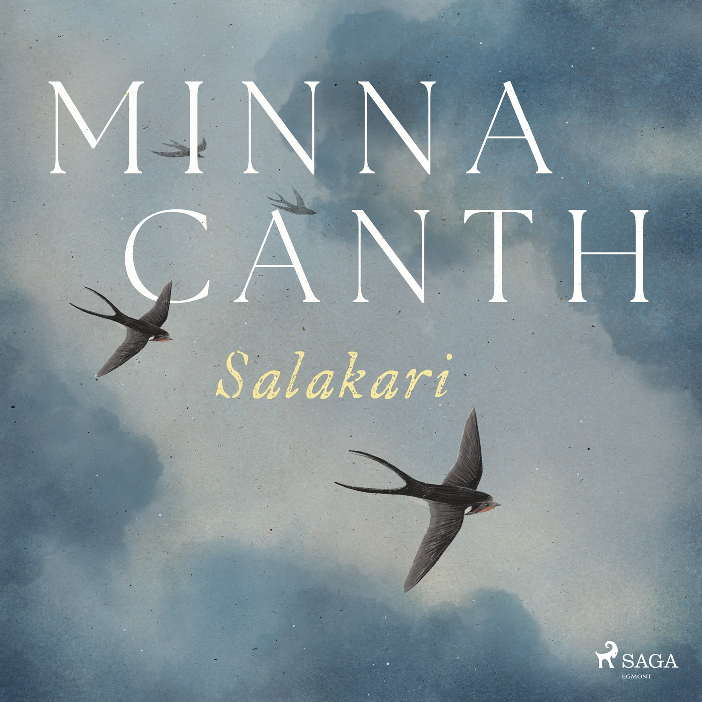 Salakari – Ljudbok