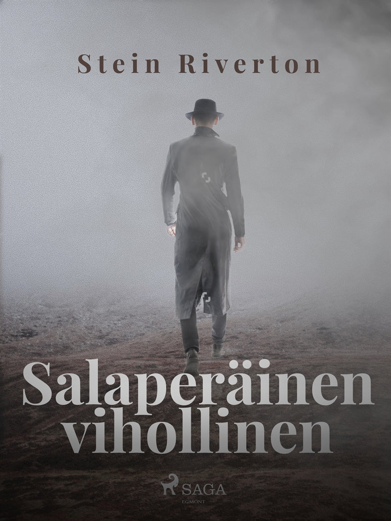 Salaperäinen vihollinen – E-bok