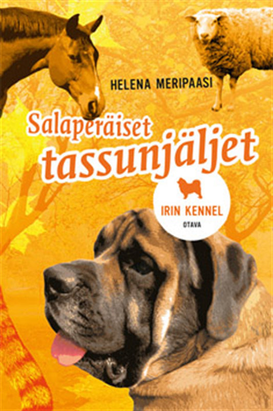 Salaperäiset tassunjäljet – E-bok