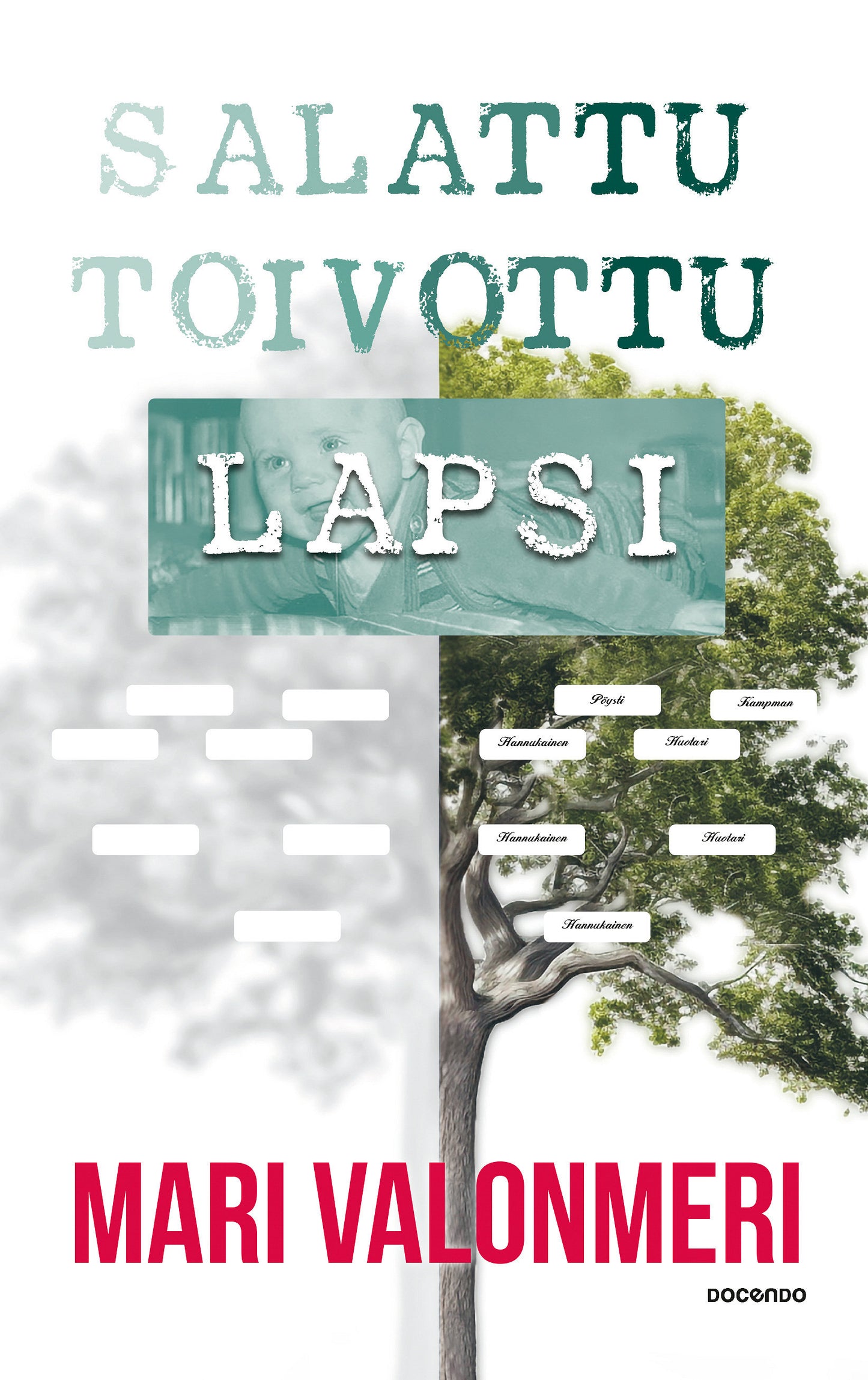 Salattu toivottu lapsi – E-bok