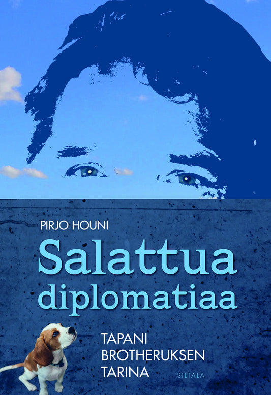 Salattua diplomatiaa – E-bok