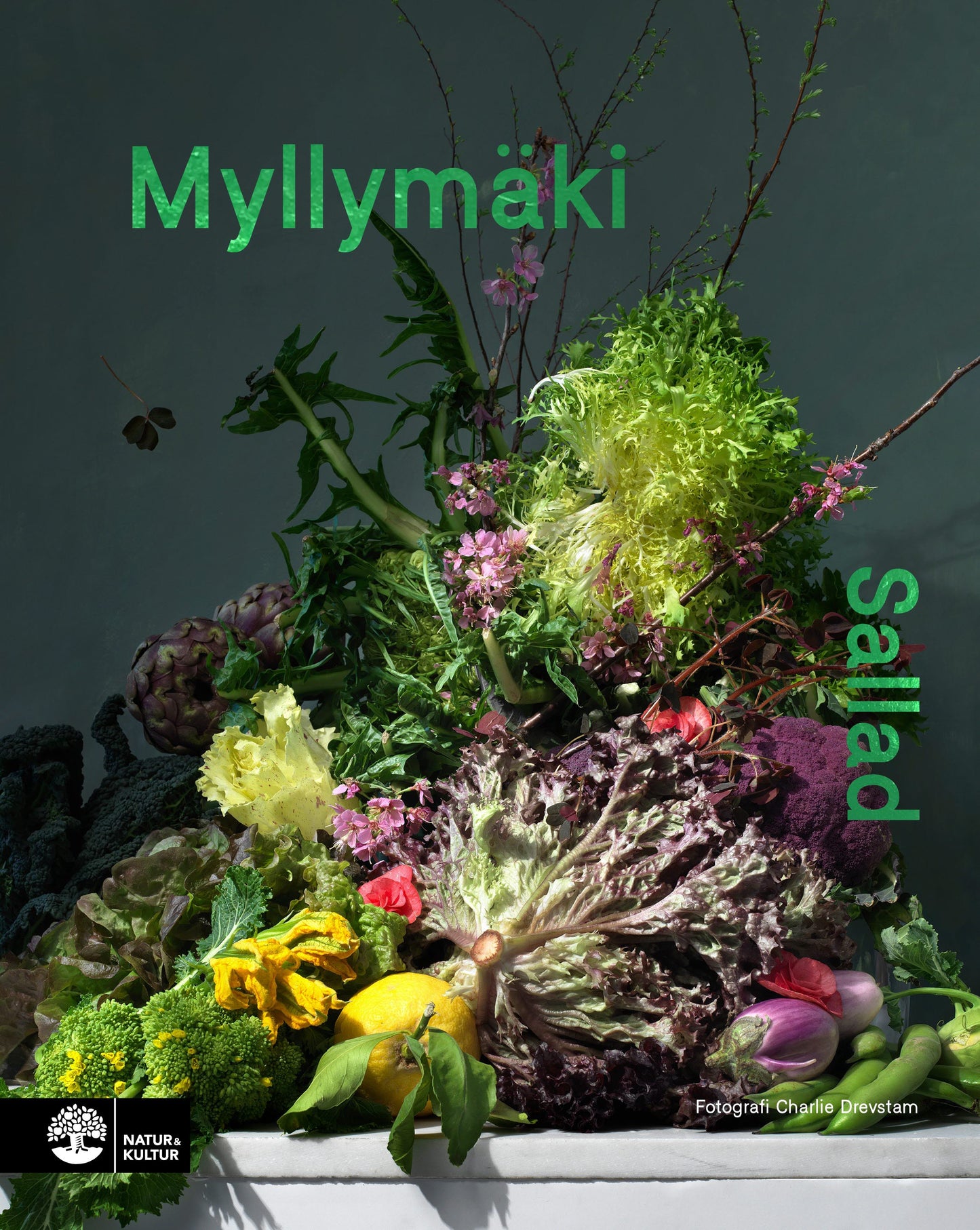 Sallad – E-bok