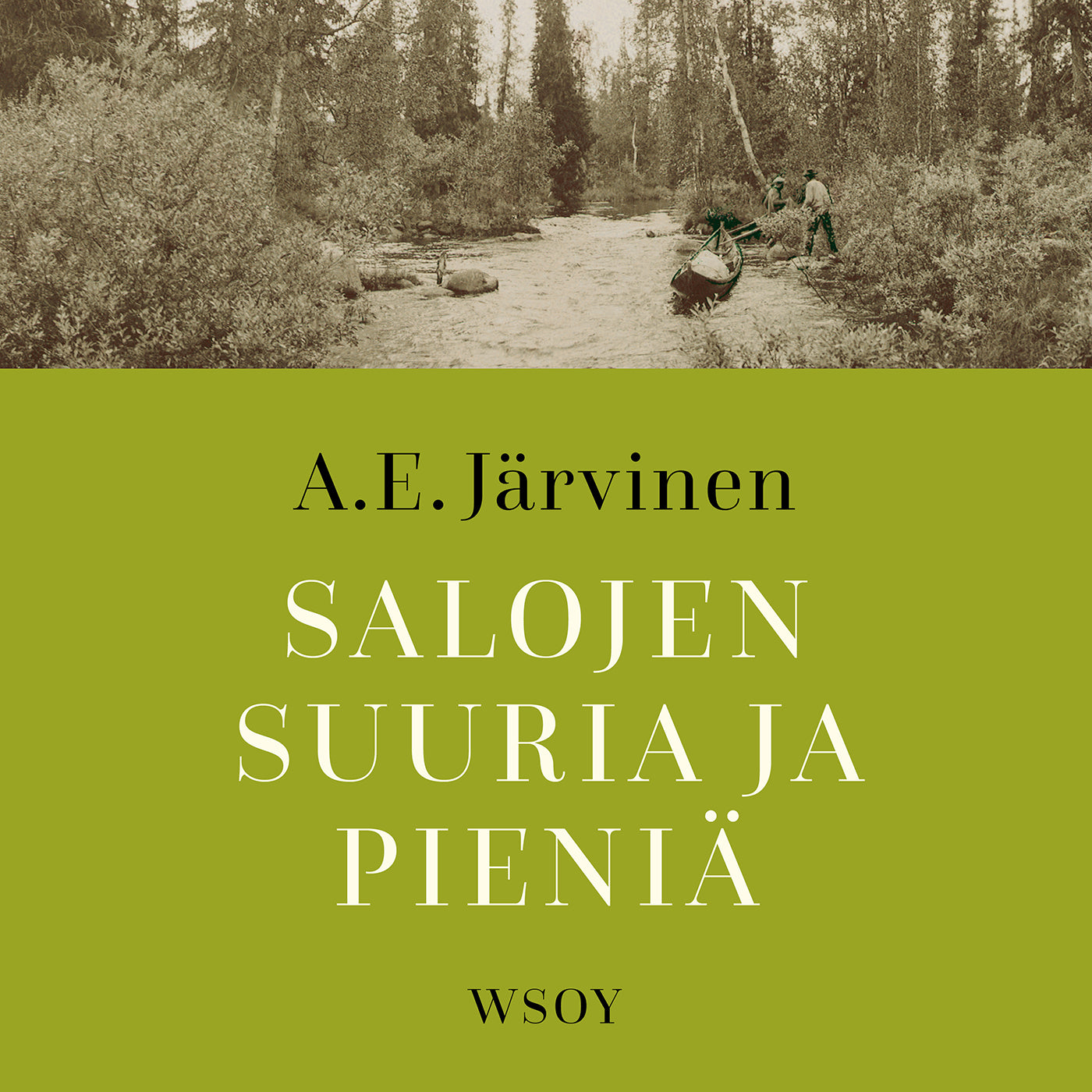 Salojen suuria ja pieniä – Ljudbok