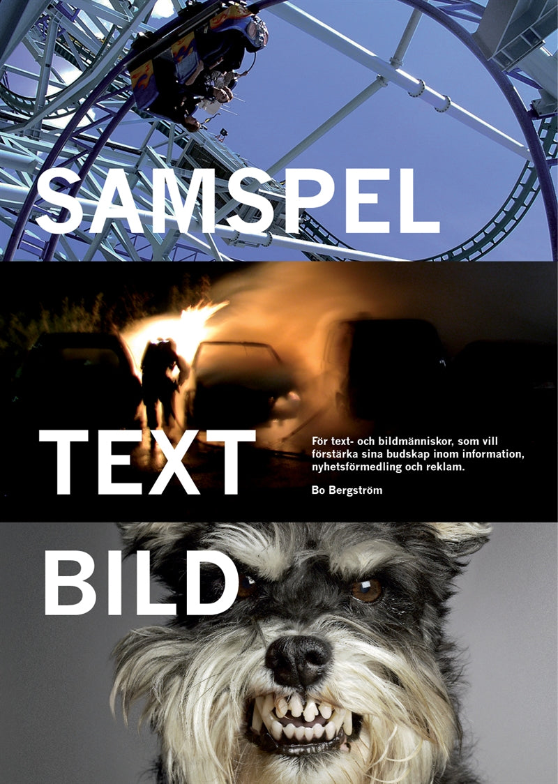 Samspel text bild – E-bok