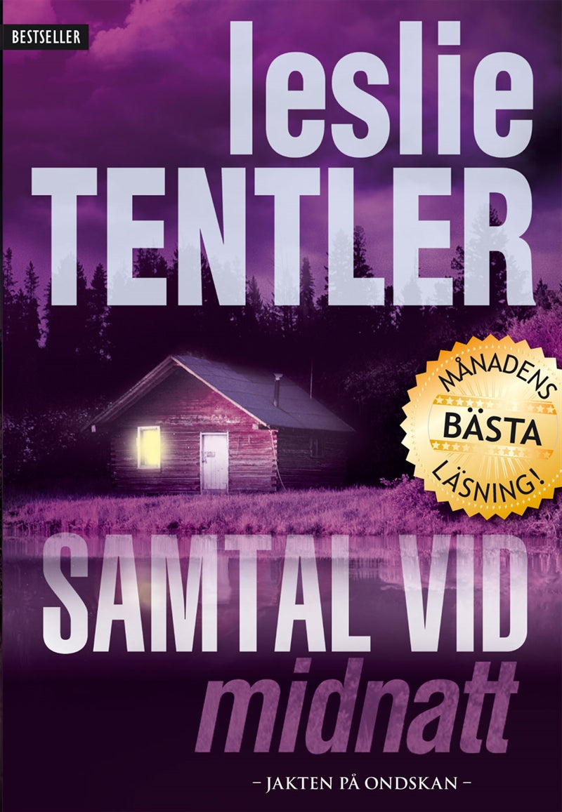 Samtal vid midnatt – E-bok