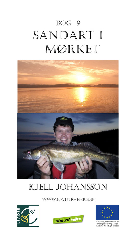 Sandart i mørket – E-bok