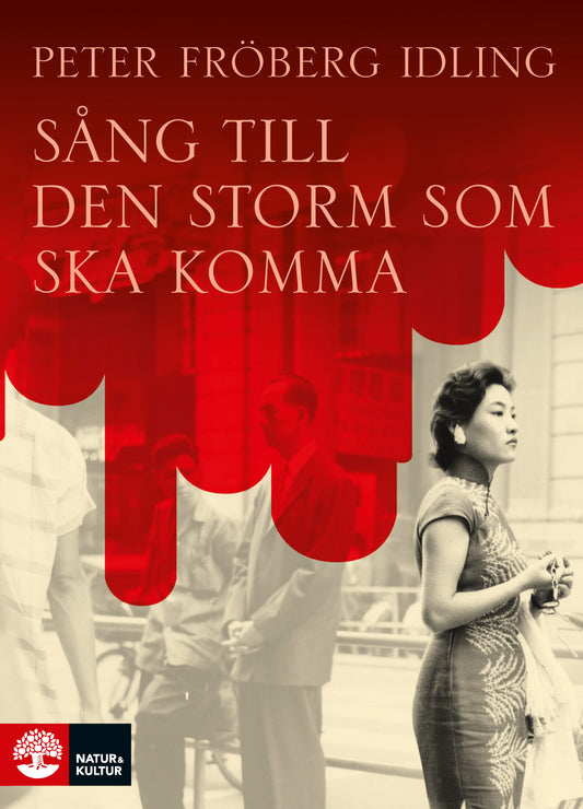 Sång till den storm som ska komma – E-bok