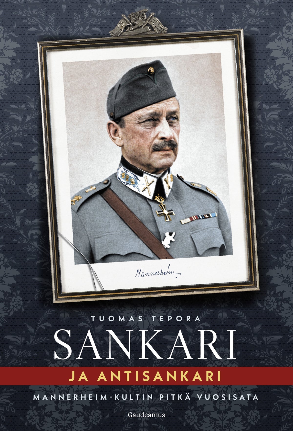Sankari ja antisankari – E-bok