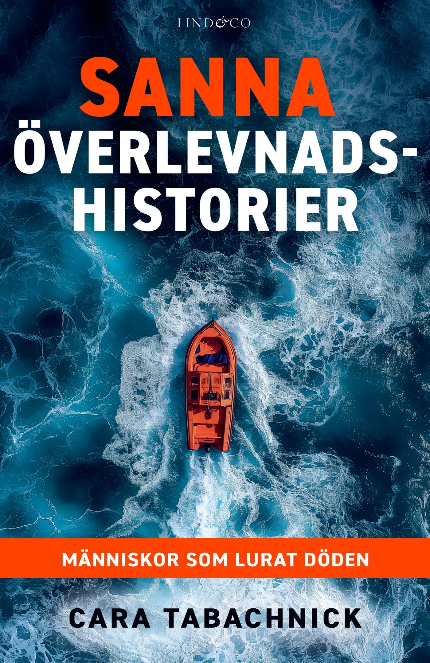 Sanna överlevnadshistorier : människor som lurat döden – E-bok