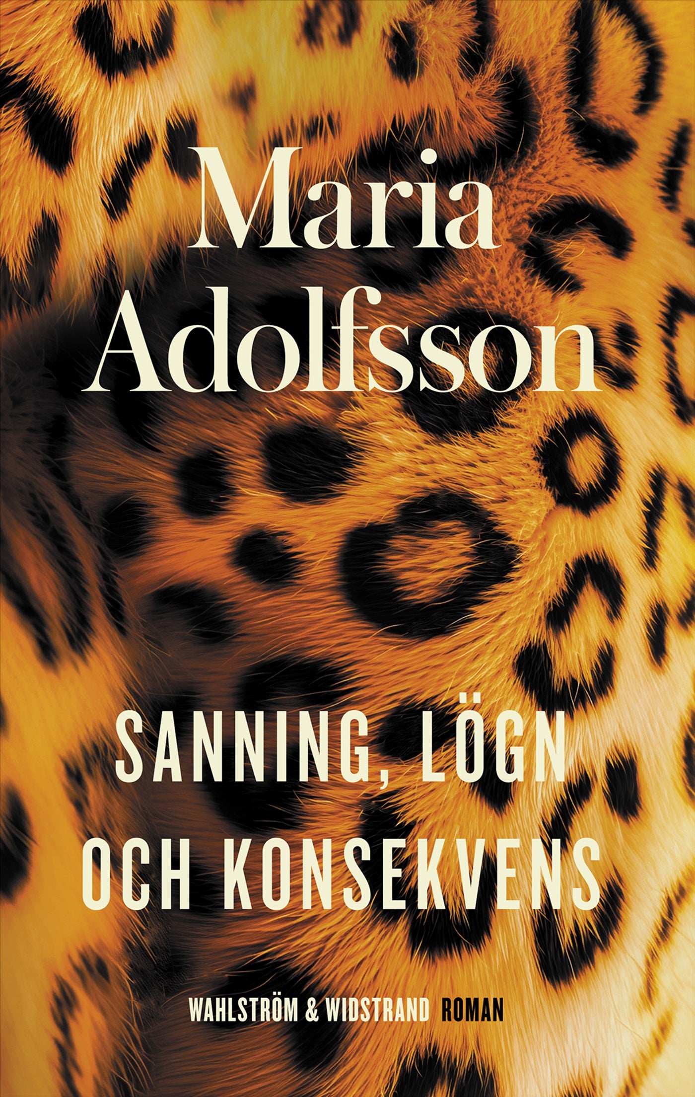 Sanning, lögn och konsekvens – E-bok