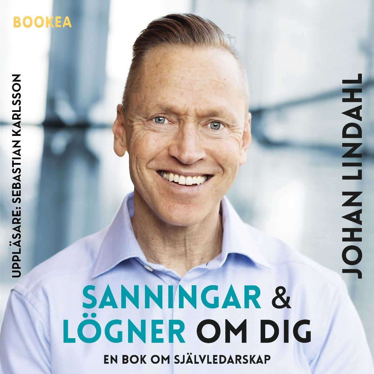 Sanningar och lögner om dig : en bok om självledarskap – Ljudbok