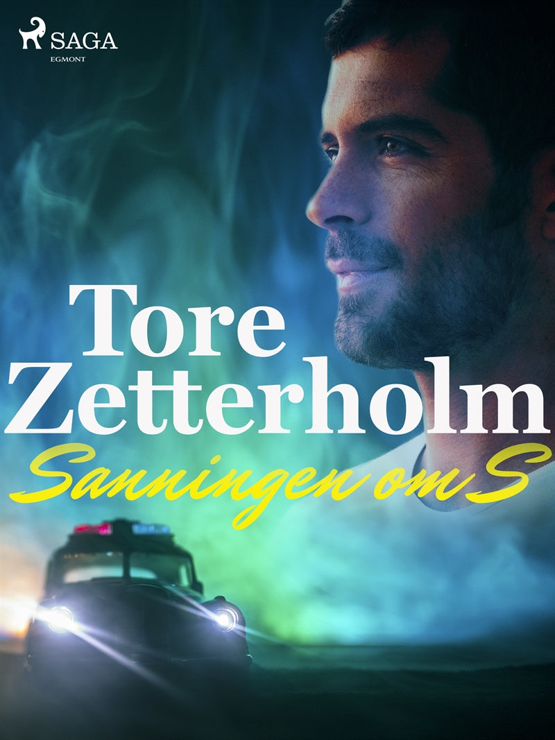 Sanningen om S – E-bok