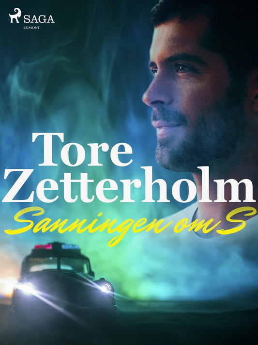 Sanningen om S – E-bok