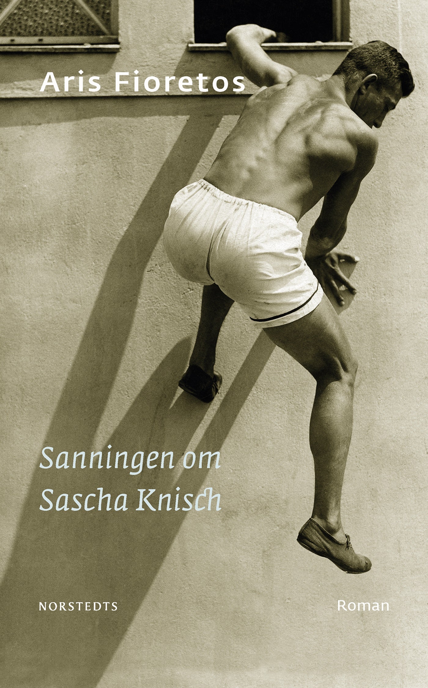 Sanningen om Sascha Knisch – E-bok