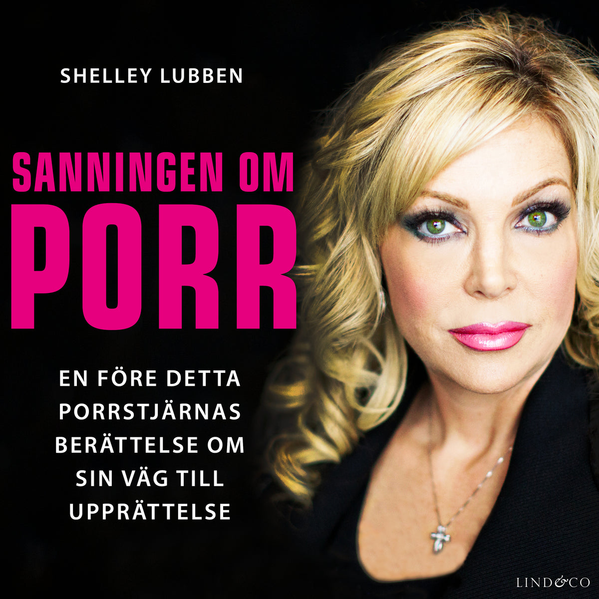 Sanningen om porr: En f.d. porrstjärnas berättelse om sin väg till upprättelse – Ljudbok